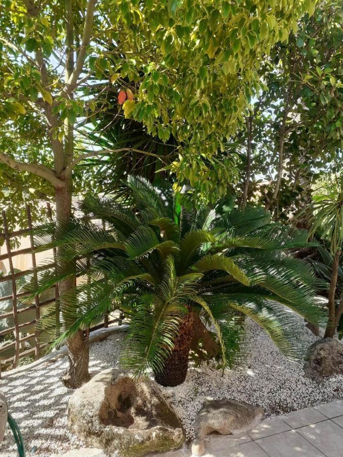 Petite Maison Lecci Dış mekan fotoğraf